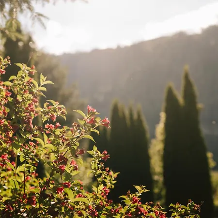 Miaflor Familien- & Aktivresort